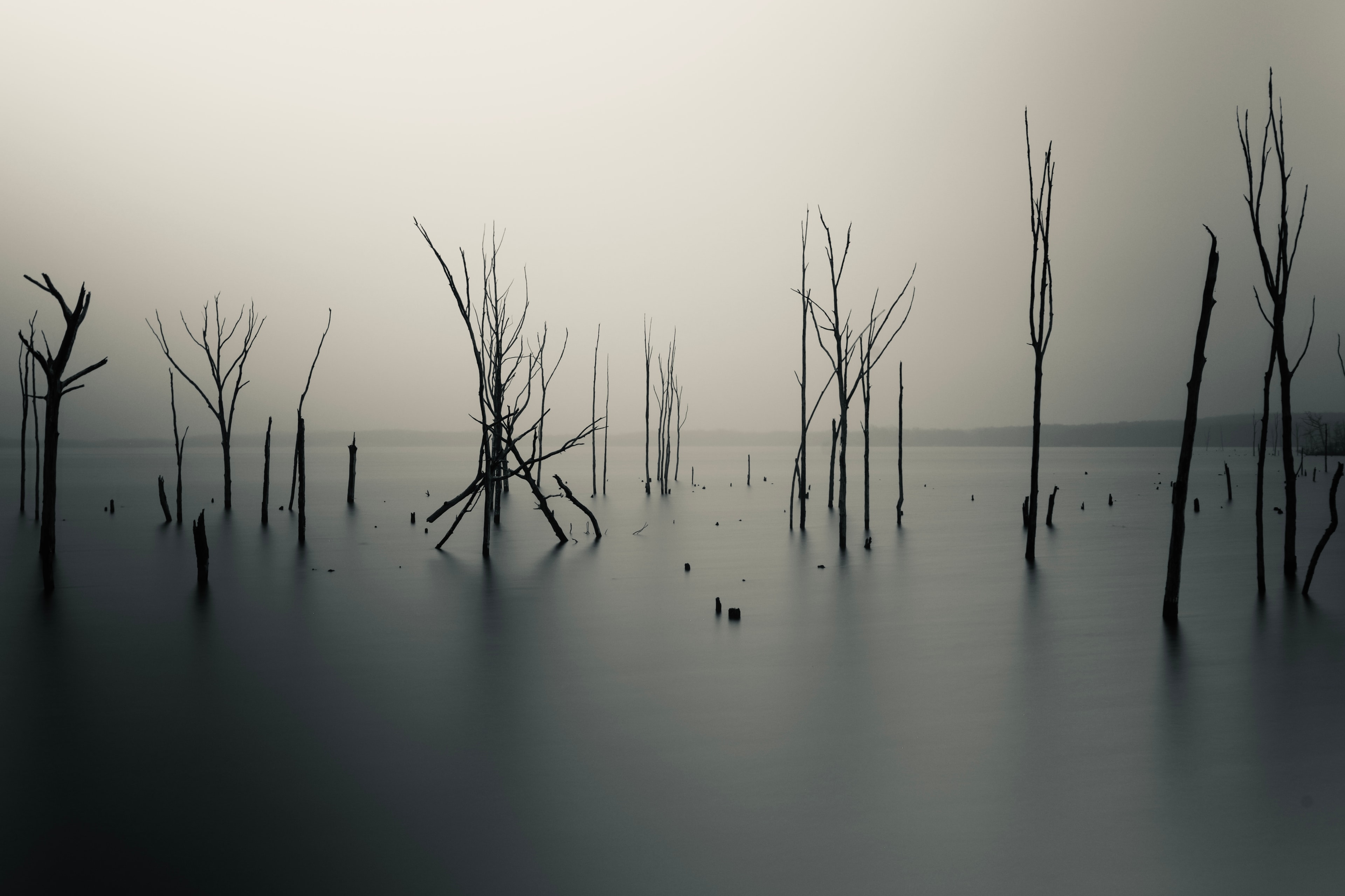 Coastal seascape with dramatic light and water