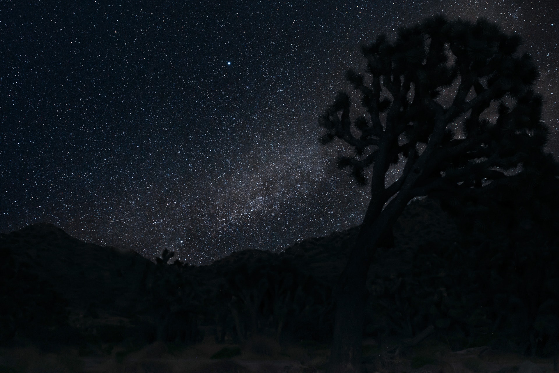 Lone Joshua tree silhouetted against the dense Milky Way core with desert ridge and boulders below in deep blue night sky