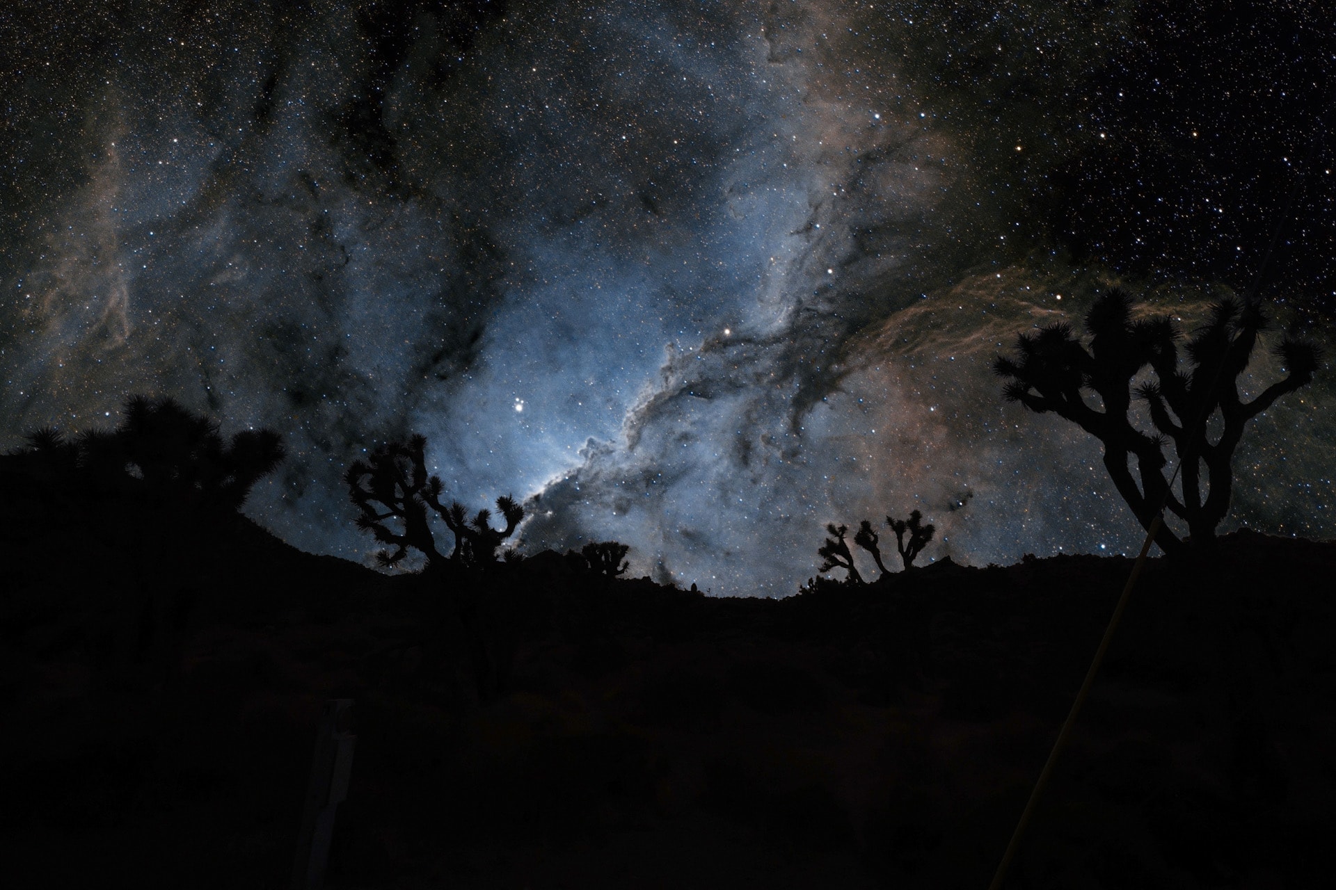 Joshua tree silhouettes against a dramatic swirling nebula and star field in deep blue and silver tones