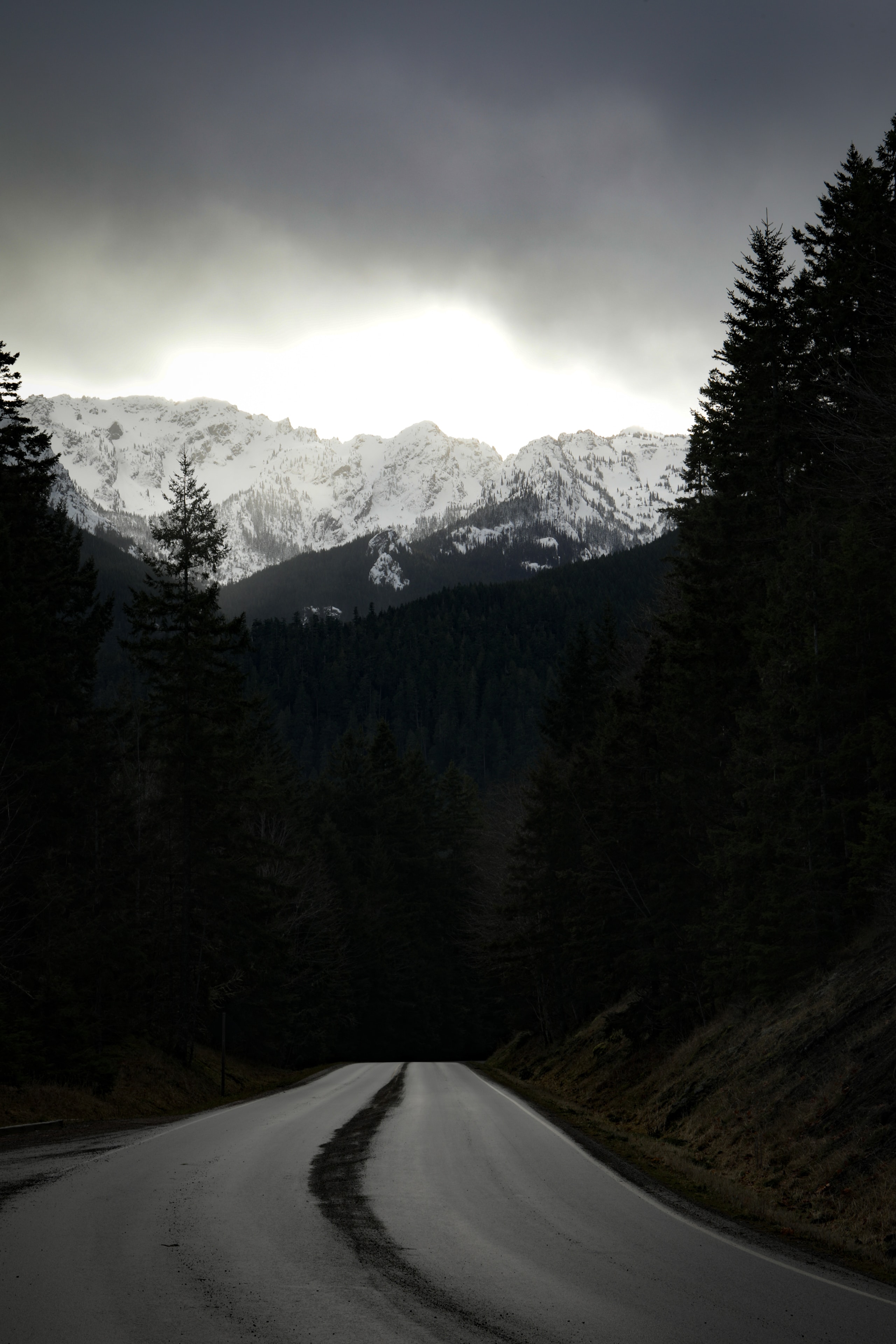 Moody mountain road winding through dark pine forest toward snow-capped peaks under stormy sky